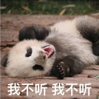 @amgzs07 银图官方🤮