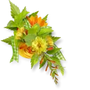 🌺 @stickerkar  👈استیکر های بیشتر در, Telegram sticker 21 of 107