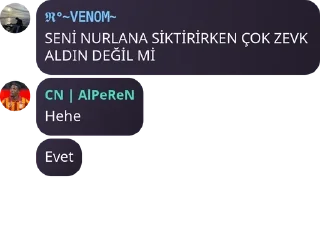 Çelik