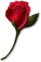 🌹 @stickerkar  👈 استیکر بیشتر در, Telegram sticker 18 of 101