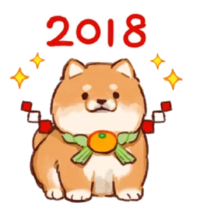 Soft and cute shiba inu @softandqt