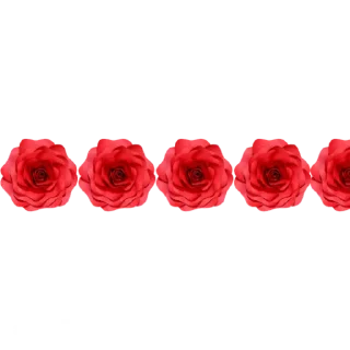 ورود