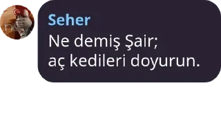 🐱 sehere özel, sticker Telegram 16 sur 16