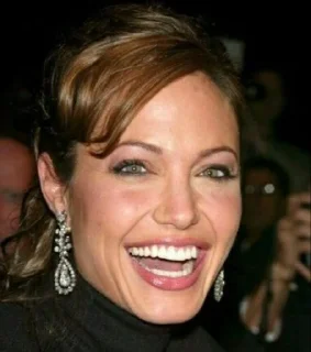 😂 Angelina Jolie by @Lieutenant_Nightwolf, sticker Telegram 19 sur 78