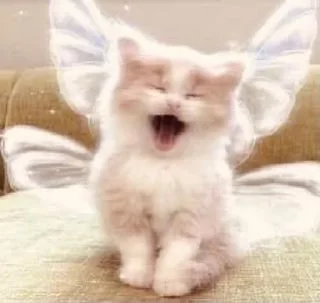 🥱 Cat=Cute✨, стікер Telegram 6 з 21