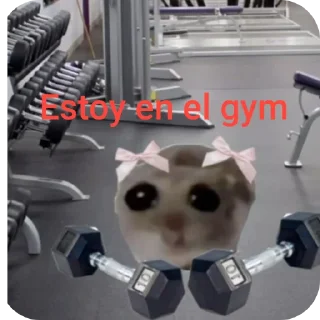 🐱 Leni🦦 hizo más stickers 😼, стикер Telegram 10 из 19