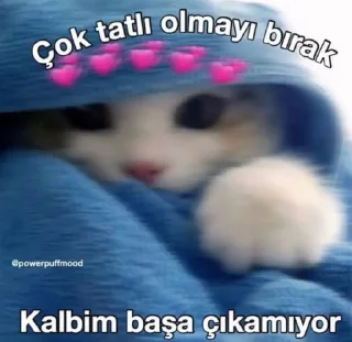 🌸 Minik Prenses @Minik_prensess, sticker Telegram 8 sur 120