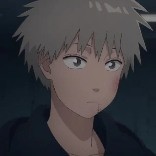 🧬 🧬Maru (@Miyukotto), стікер Telegram 16 з 39