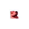 🤪 emoji @TgEmojis_bot ᯓ𓆰 𝅃꯭꯭꯭꯭꯭❛-𝐎хʏgєη-꯭꯭꯭꯭꯭֟፝ꭘ꯭꯭꯭꯭꯭𝗗꯭꯭꯭꯭꯭𓆪᭄ꪾ Telegram sticker 24 of 200