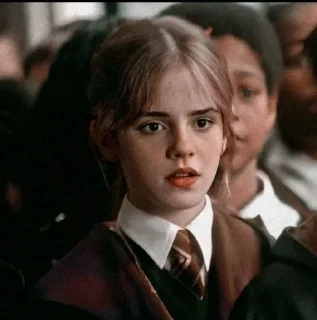 🧚‍♀ emoji Hermione Granger By @RethaGranger Telegram sticker 1 of 60