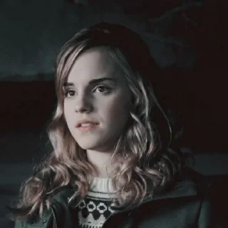 🧚‍♀ emoji Hermione Granger By @RethaGranger Telegram sticker 14 of 60