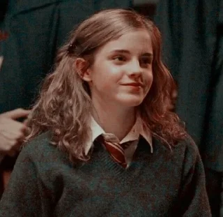 🧚‍♀ emoji Hermione Granger By @RethaGranger Telegram sticker 2 of 60