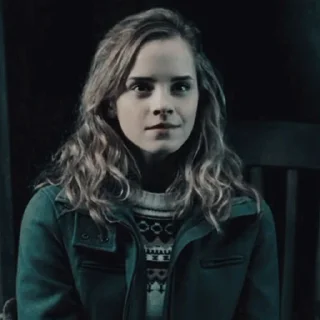 🧚‍♀ emoji Hermione Granger By @RethaGranger Telegram sticker 17 of 60