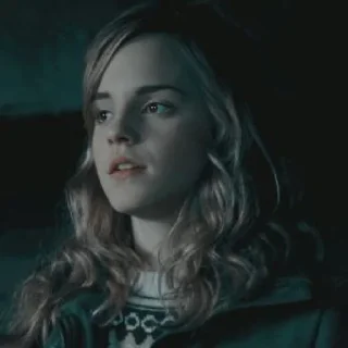 🧚‍♀ emoji Hermione Granger By @RethaGranger Telegram sticker 18 of 60