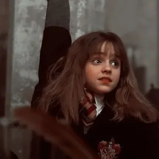 🧚‍♀ emoji Hermione Granger By @RethaGranger Telegram sticker 22 of 60