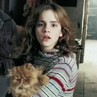 🧚‍♀ emoji Hermione Granger By @RethaGranger Telegram sticker 7 of 60