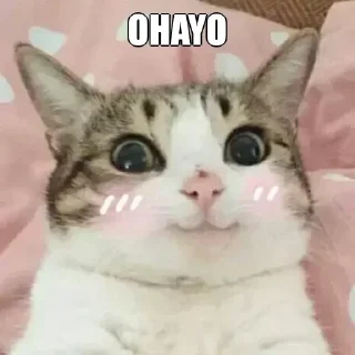 Sticker from Priyansh's sticker pack (@YaeMiko_Roxbot)
