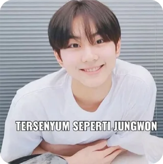 🙂 emoji PAANSIH Telegram sticker 16 of 19