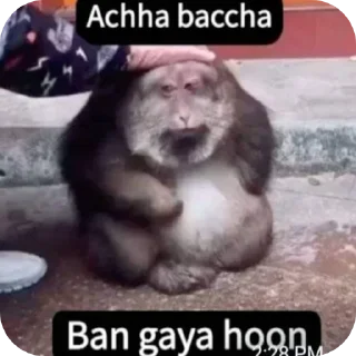 🐶 emoji AYUSH भाईEEW! Telegram sticker 7 of 51
