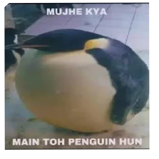 🐦 emoji AYUSH भाईEEW! Telegram sticker 20 of 51