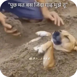 🏖 emoji AYUSH भाईEEW! Telegram sticker 23 of 51