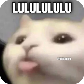 🤲 emoji AYUSH भाईEEW! Telegram sticker 18 of 51