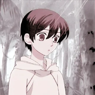 Sticker from Haruhi Fujioka soft filter @aidoruhelp