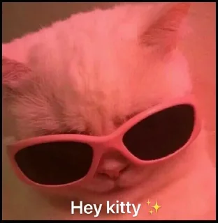 Sticker from Cute nekos 🥰