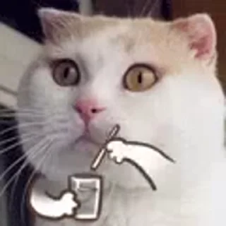 🐱 emoji 𝙺𝚒𝚛𝚒𝚝𝚘's video pack (@YaeMiko_Roxbot) Telegram sticker 4 of 7