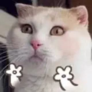 😏 emoji 𝙺𝚒𝚛𝚒𝚝𝚘's video pack (@YaeMiko_Roxbot) Telegram sticker 7 of 7