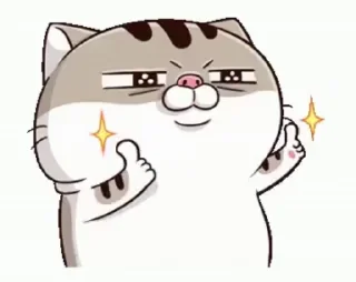 Sticker from Ami fat Cat 😸 { @Lucky_kaif05