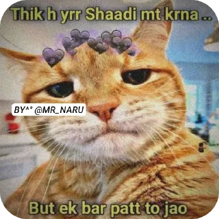 Sticker from 🤣 😂 FUNNY @MR_NARU