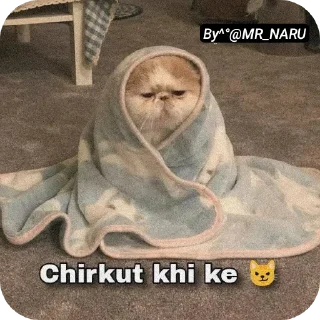 🖼 emoji 🤣 😂 FUNNY @MR_NARU Telegram sticker 18 of 39
