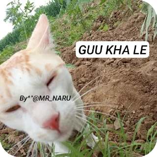 🐱 emoji 🤣 😂 FUNNY @MR_NARU Telegram sticker 17 of 39