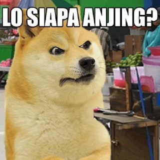 🤔 emoji sus vanh y g c 🤣🤣😂😂 Telegram sticker 20 of 82