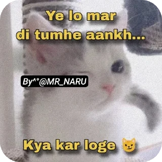 🖼 emoji 🤣 😂 FUNNY @MR_NARU Telegram sticker 15 of 39
