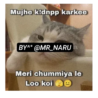 🐱 emoji 🤣 😂 FUNNY @MR_NARU Telegram sticker 8 of 39