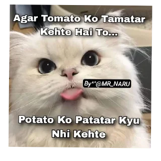 🐱 emoji 🤣 😂 FUNNY @MR_NARU Telegram sticker 16 of 39