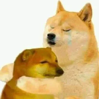 😘 emoji sus vanh y g c 🤣🤣😂😂 Telegram sticker 17 of 82