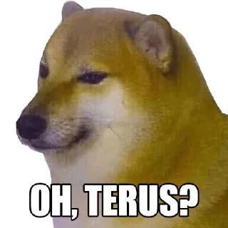🧐 emoji sus vanh y g c 🤣🤣😂😂 Telegram sticker 19 of 82