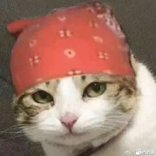 ✨ emoji 厉 飞雨 静态贴纸包 Telegram sticker 10 of 119