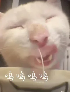 ✨ emoji 厉 飞雨 静态贴纸包 Telegram sticker 5 of 119