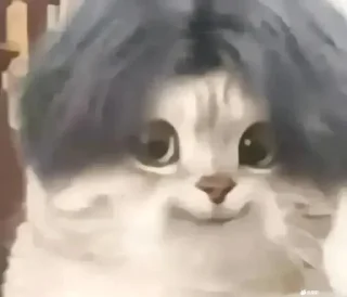 ✨ emoji 厉 飞雨 静态贴纸包 Telegram sticker 15 of 119