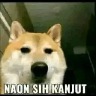 🥰 emoji penambah pahala Telegram sticker 2 of 30