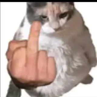 😾 emoji penambah pahala Telegram sticker 15 of 30