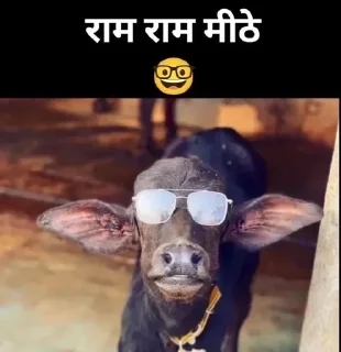 👌 emoji jo churaega 2 baar gand dega Telegram sticker 1 of 120