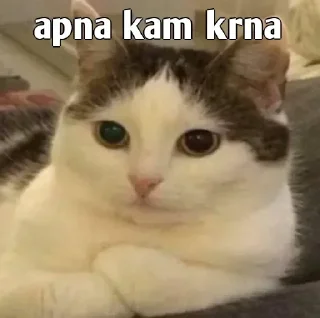 👀 emoji Ashwini's sticker pack (@Sarcastic_07_bot) Telegram sticker 22 of 120