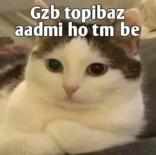 👀 emoji Ashwini's sticker pack (@Sarcastic_07_bot) Telegram sticker 21 of 120