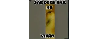 Sticker from @About_Fake_Raj Tiny Sticker Pack