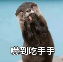 Sticker from 買嬲的動物園